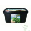 Paradise – Breeze (Mint) 1KG (6MG) steaming stones
