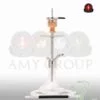 Amy – SS12 Little Palm (Transparant)